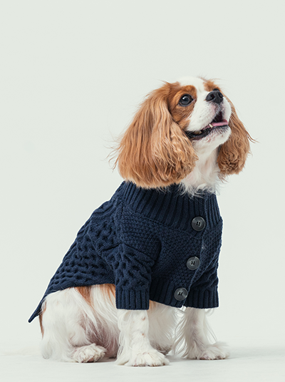 BERT CARDIGAN SWEATER - DARK BLUE