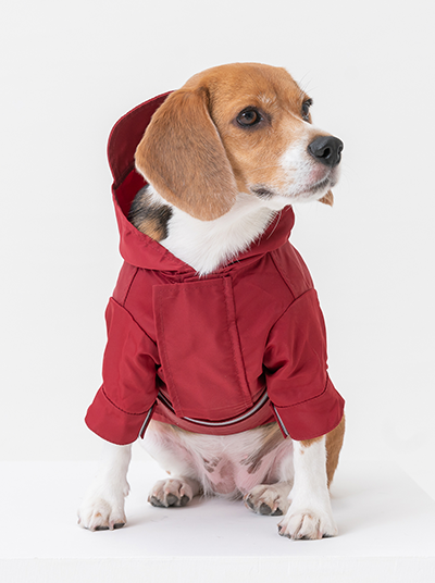 Tribeca adjustable velcro raincoat -  Burgundy