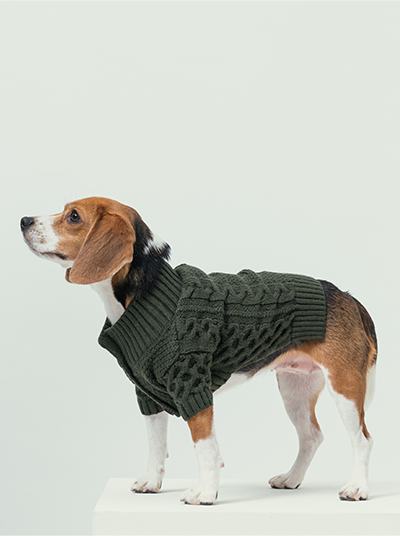 BERT CARDIGAN SWEATER - DARK GREEN