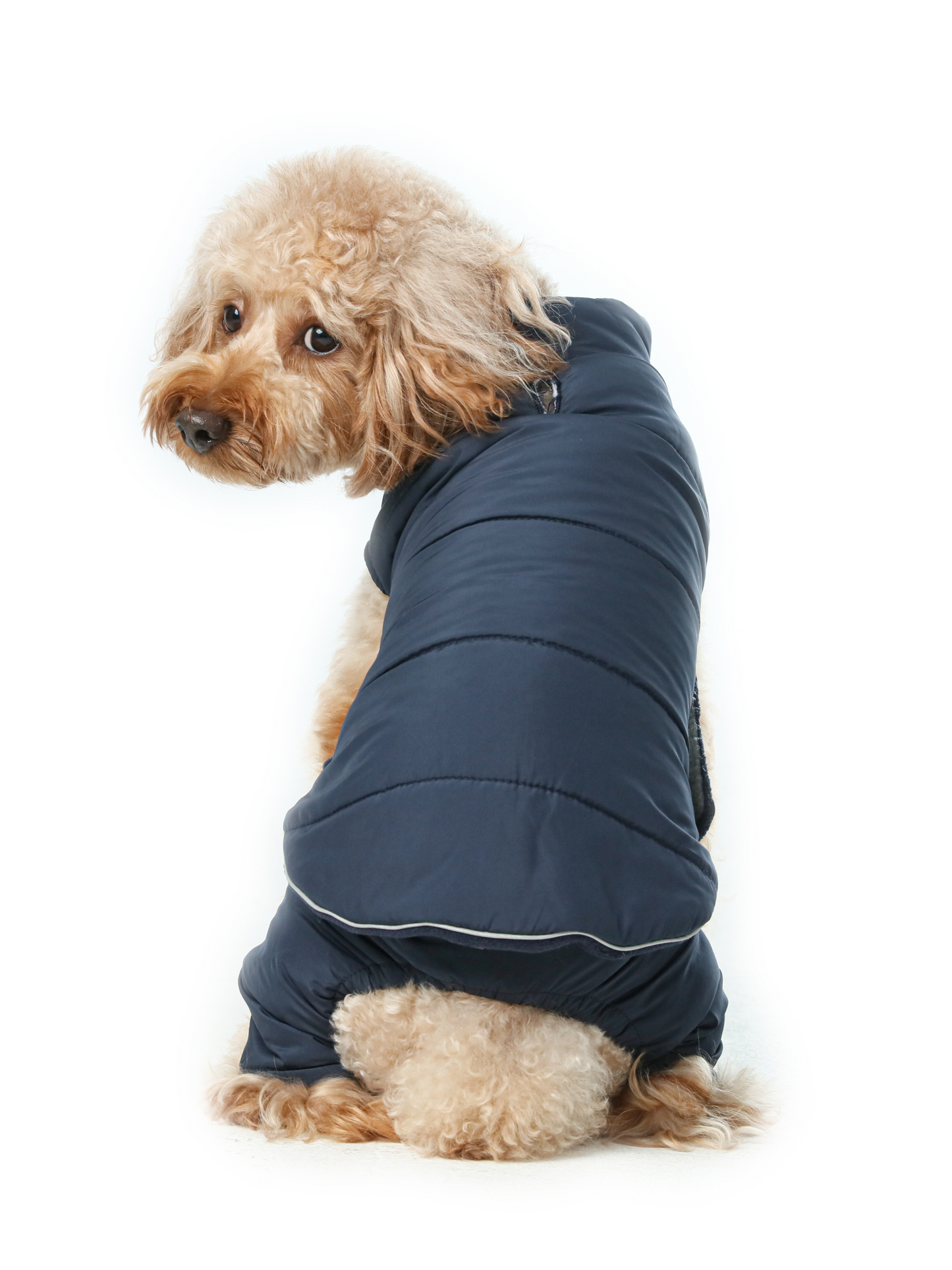 Reversible Dog Vest Jacket - Blue