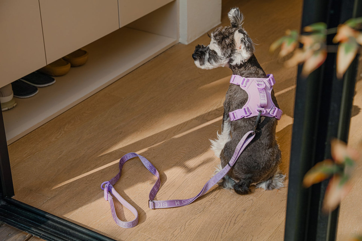 NO PULL ACTIVE  PET HARNESS - MINT PURPLE