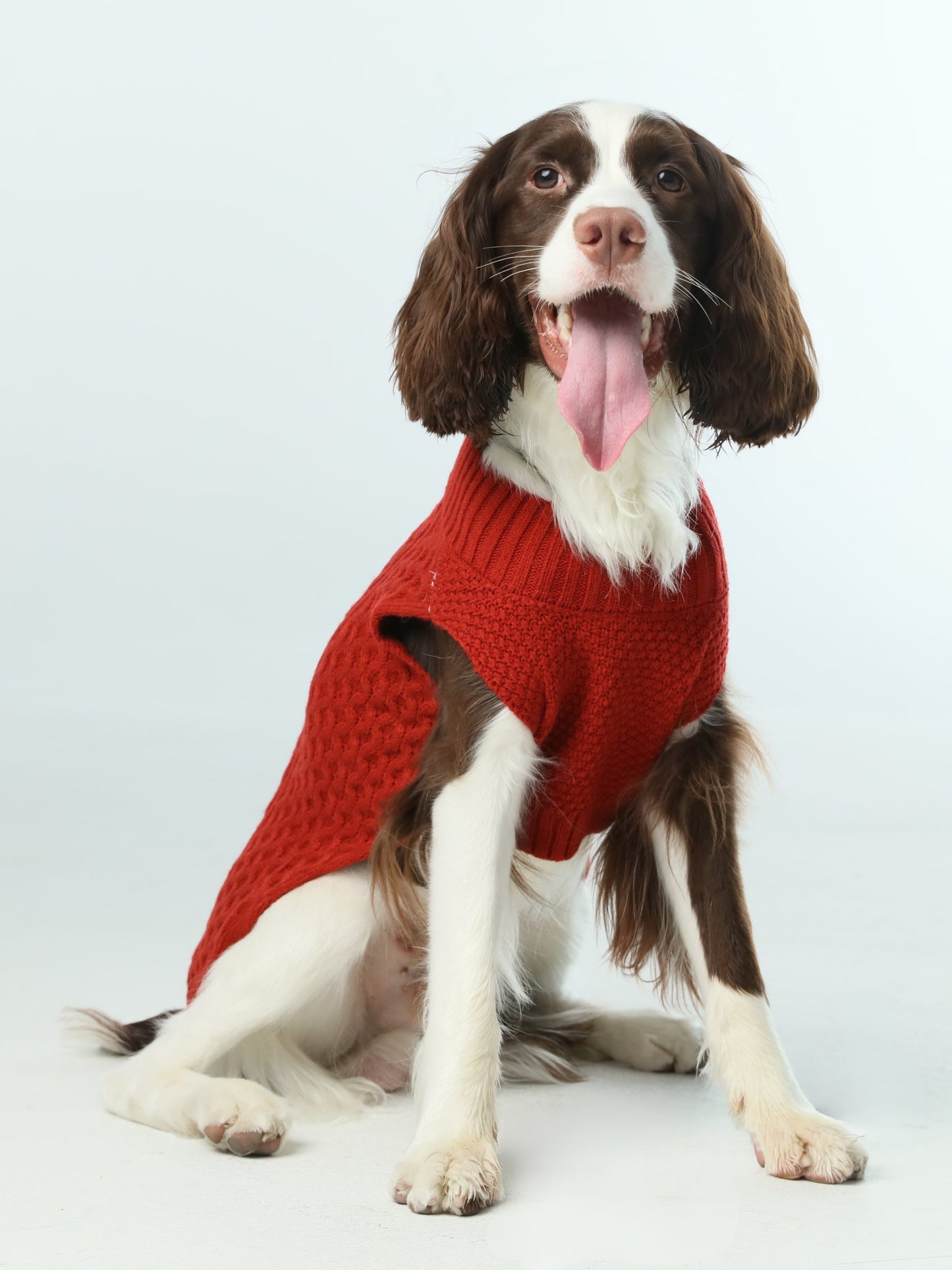 Pet Sweater Vest - Red