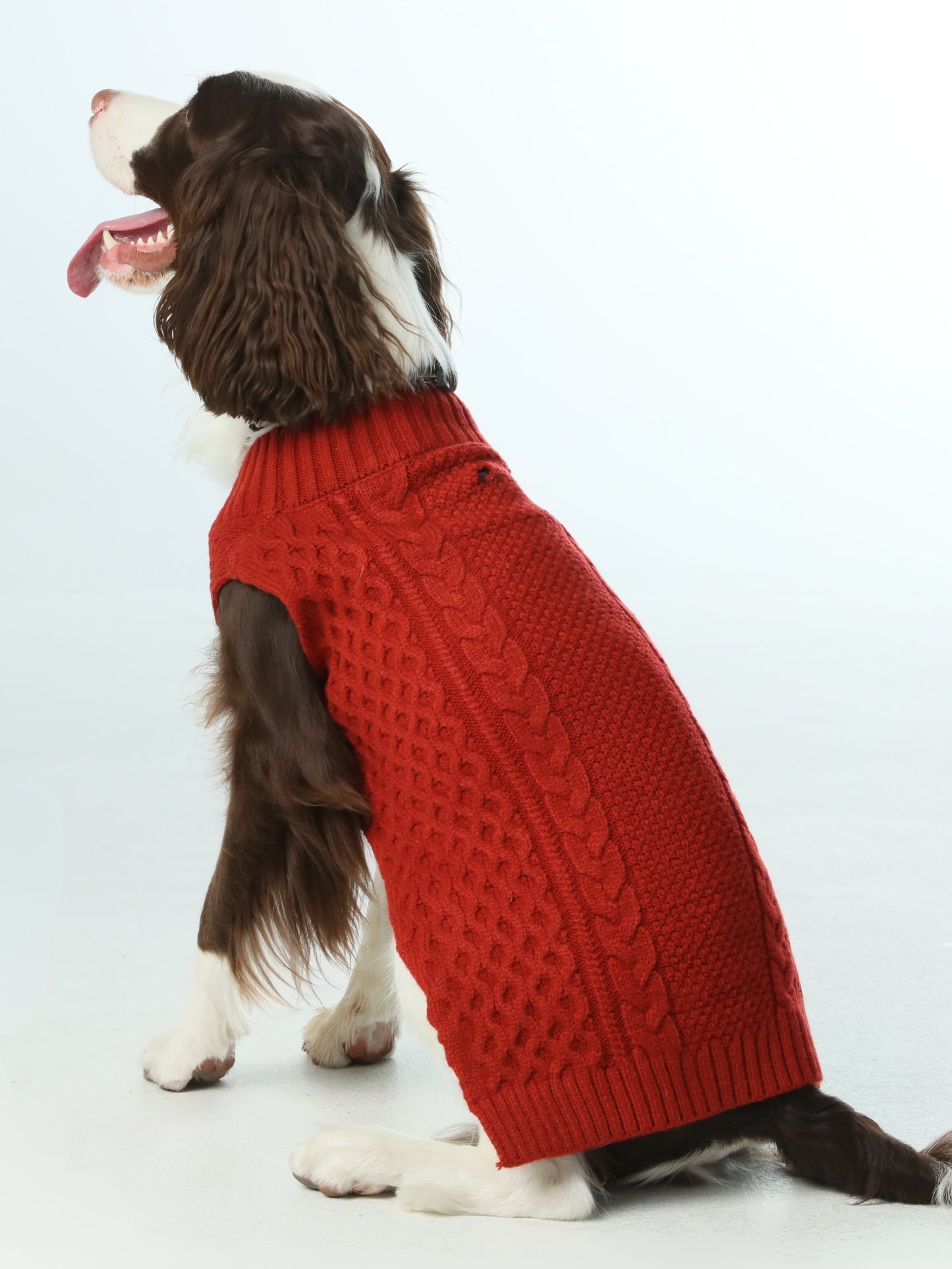 Pet Sweater Vest - Red