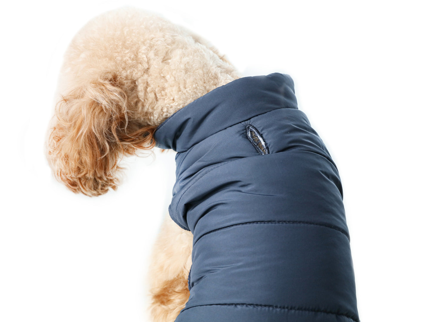 Reversible Dog Vest Jacket - Red