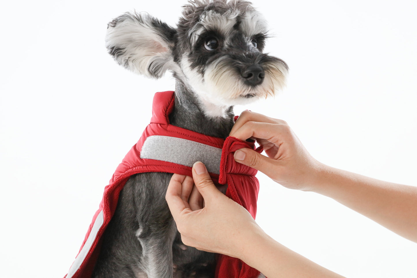 Reversible Dog Vest Jacket - Red