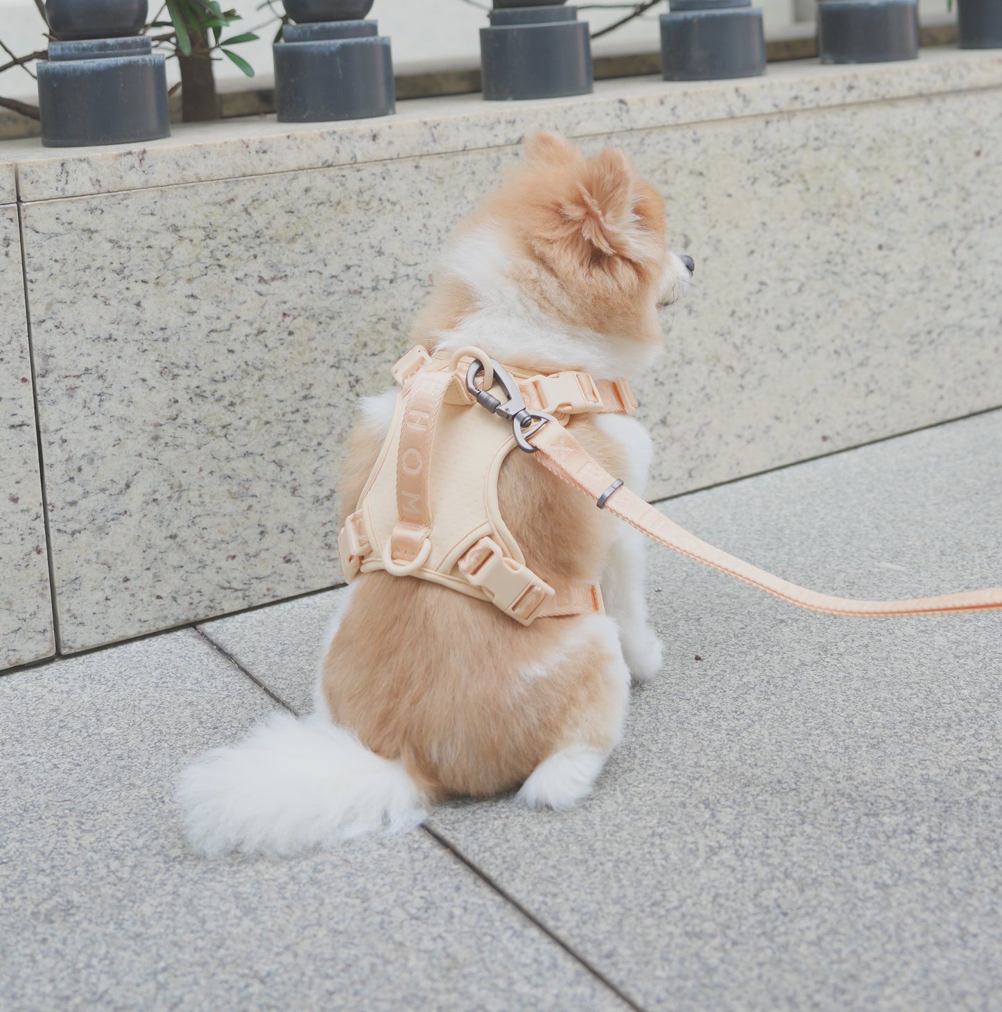 NO PULL ACTIVE  PET HARNESS - APRICOT