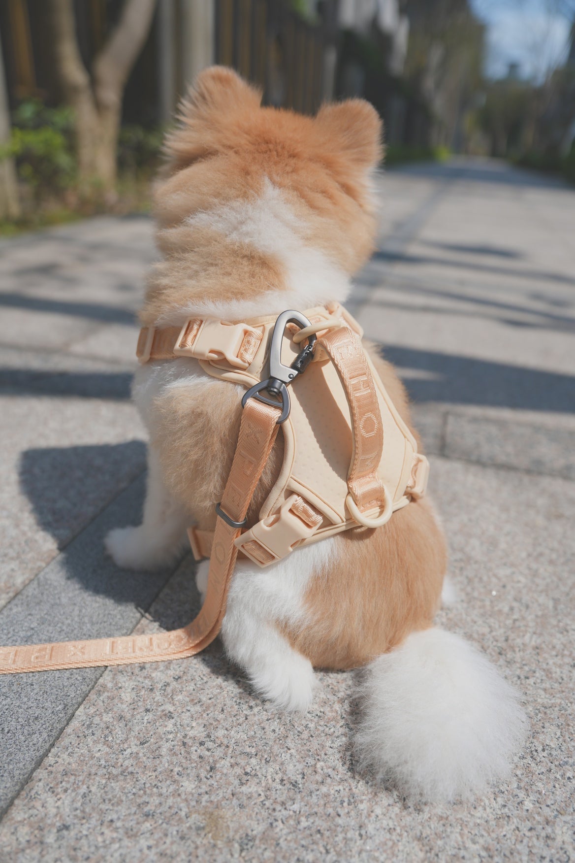 NO PULL ACTIVE  PET HARNESS - APRICOT