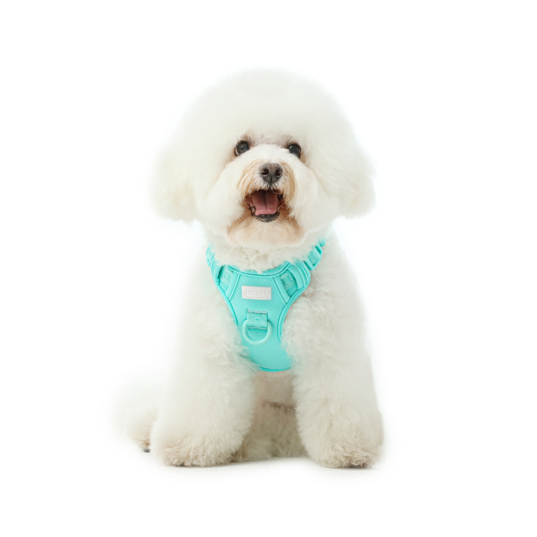 NO PULL ACTIVE  PET HARNESS - MINT GREEN