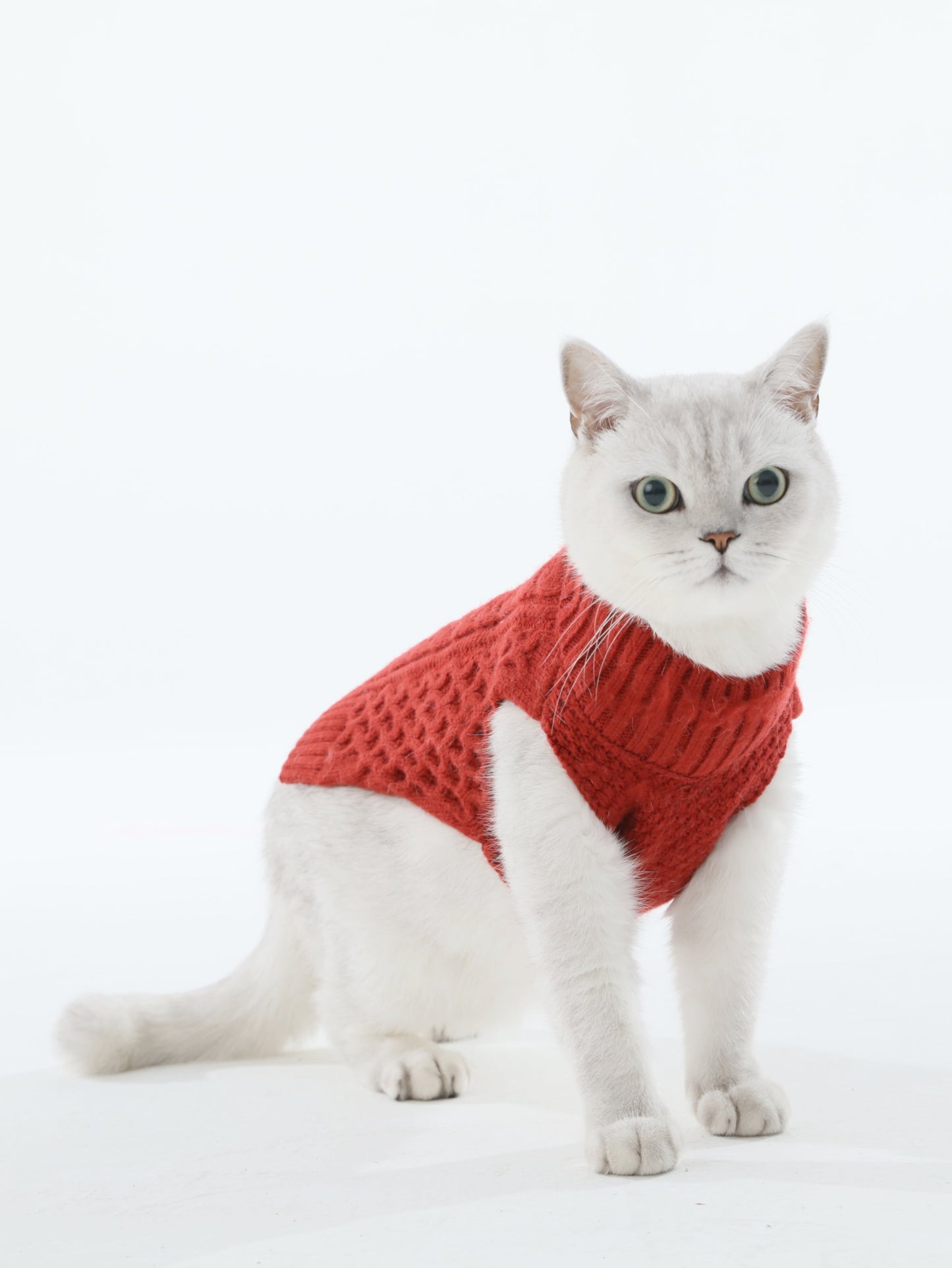 Pet Sweater Vest - Red