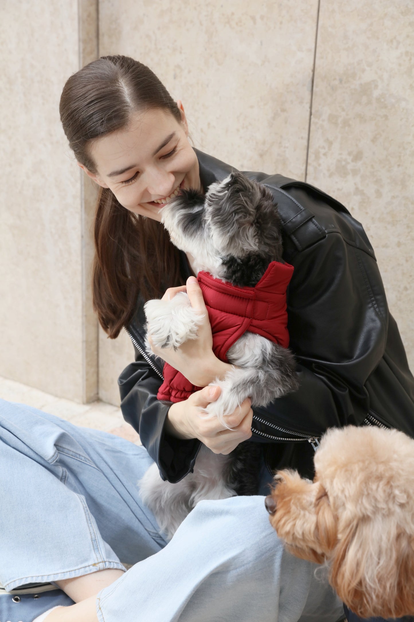 Reversible Dog Vest Jacket - Red