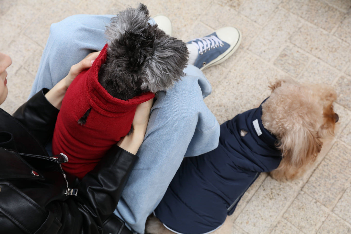 Reversible Dog Vest Jacket - Red