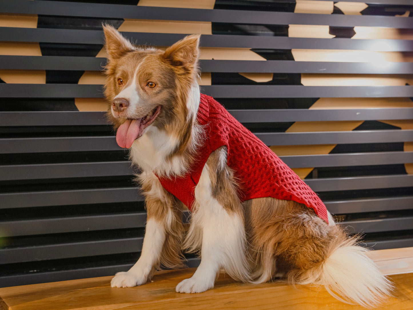 Pet Sweater Vest - Red