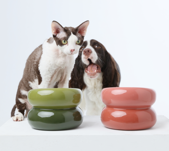 Soufflé Pet Bowl - Avocado Green