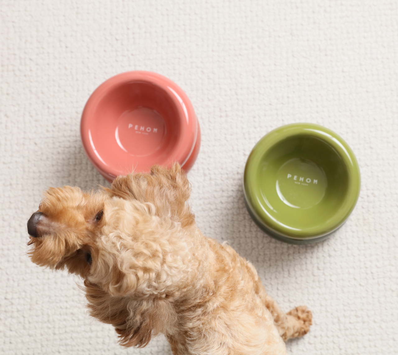 Soufflé Pet Bowl - Rose Pink