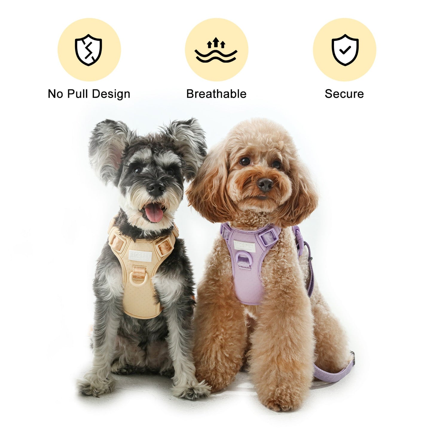 NO PULL ACTIVE  PET HARNESS - APRICOT