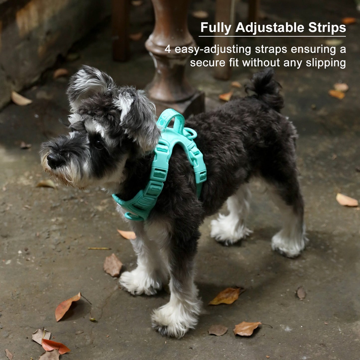 NO PULL ACTIVE  PET HARNESS - APRICOT