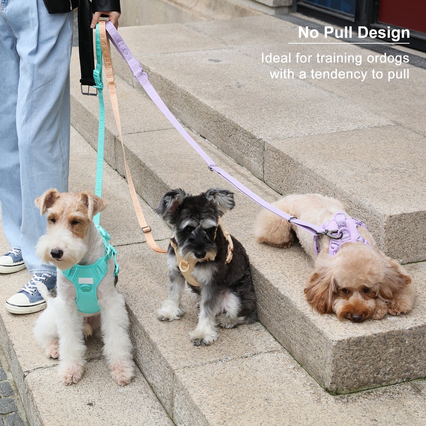 NO PULL ACTIVE  PET HARNESS - APRICOT