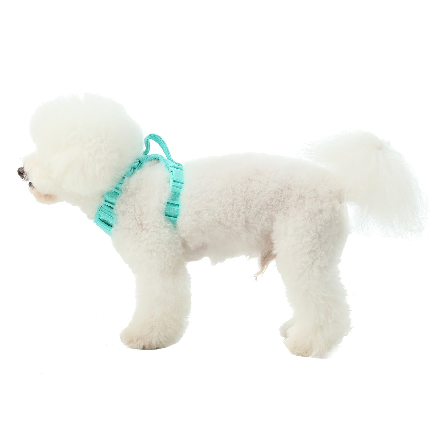 NO PULL ACTIVE  PET HARNESS - MINT GREEN