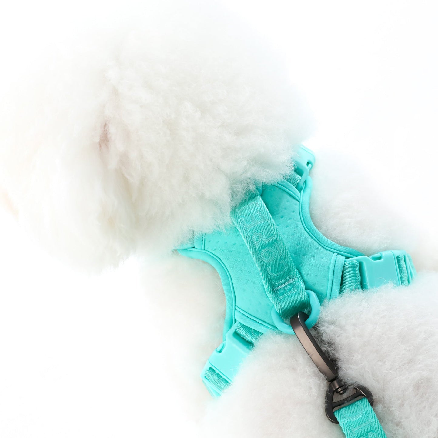 NO PULL ACTIVE  PET HARNESS - MINT GREEN