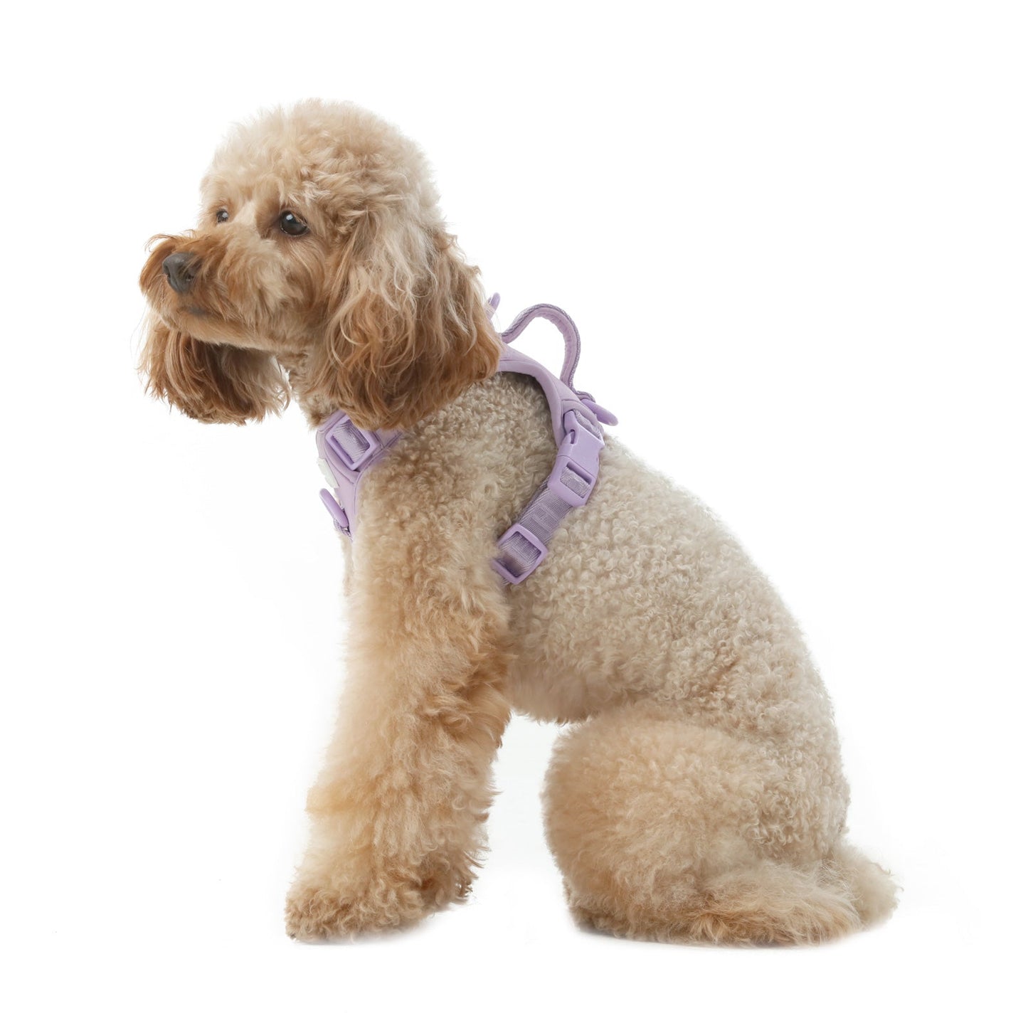 NO PULL ACTIVE  PET HARNESS - MINT PURPLE