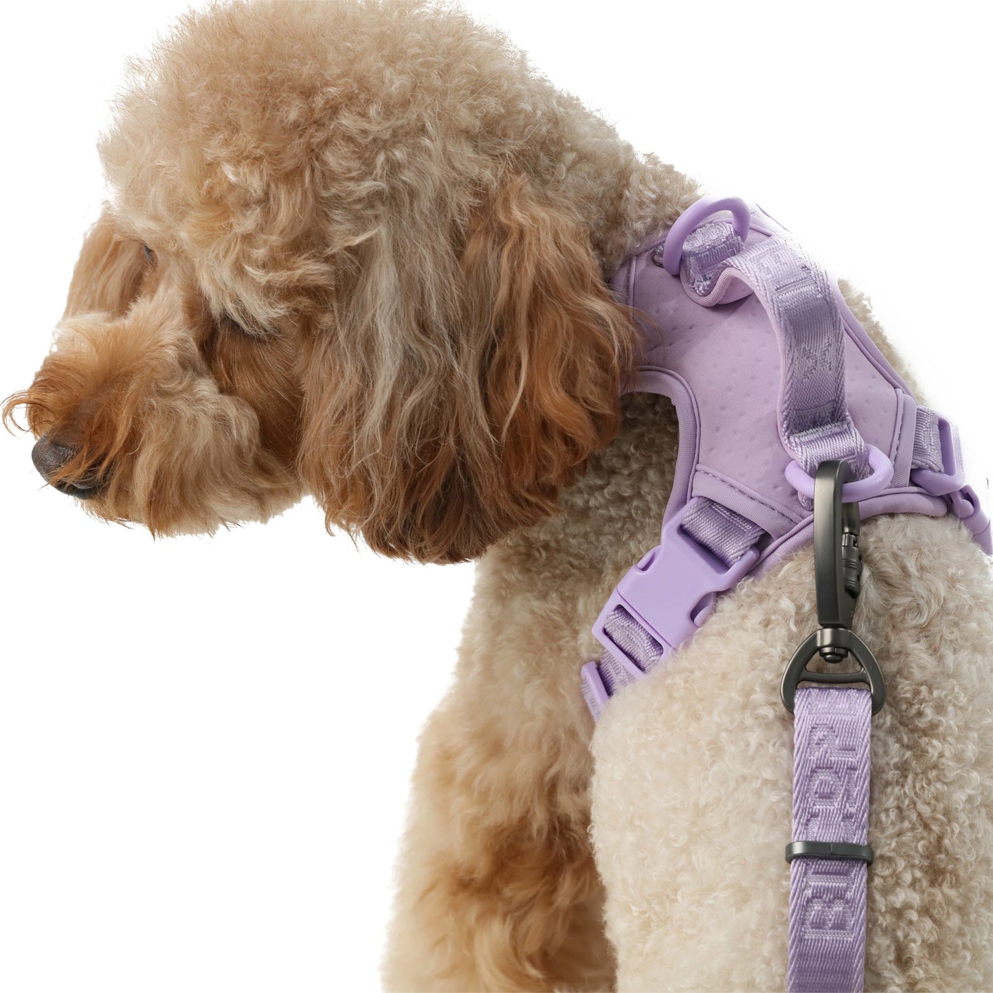 NO PULL ACTIVE  PET HARNESS - MINT PURPLE