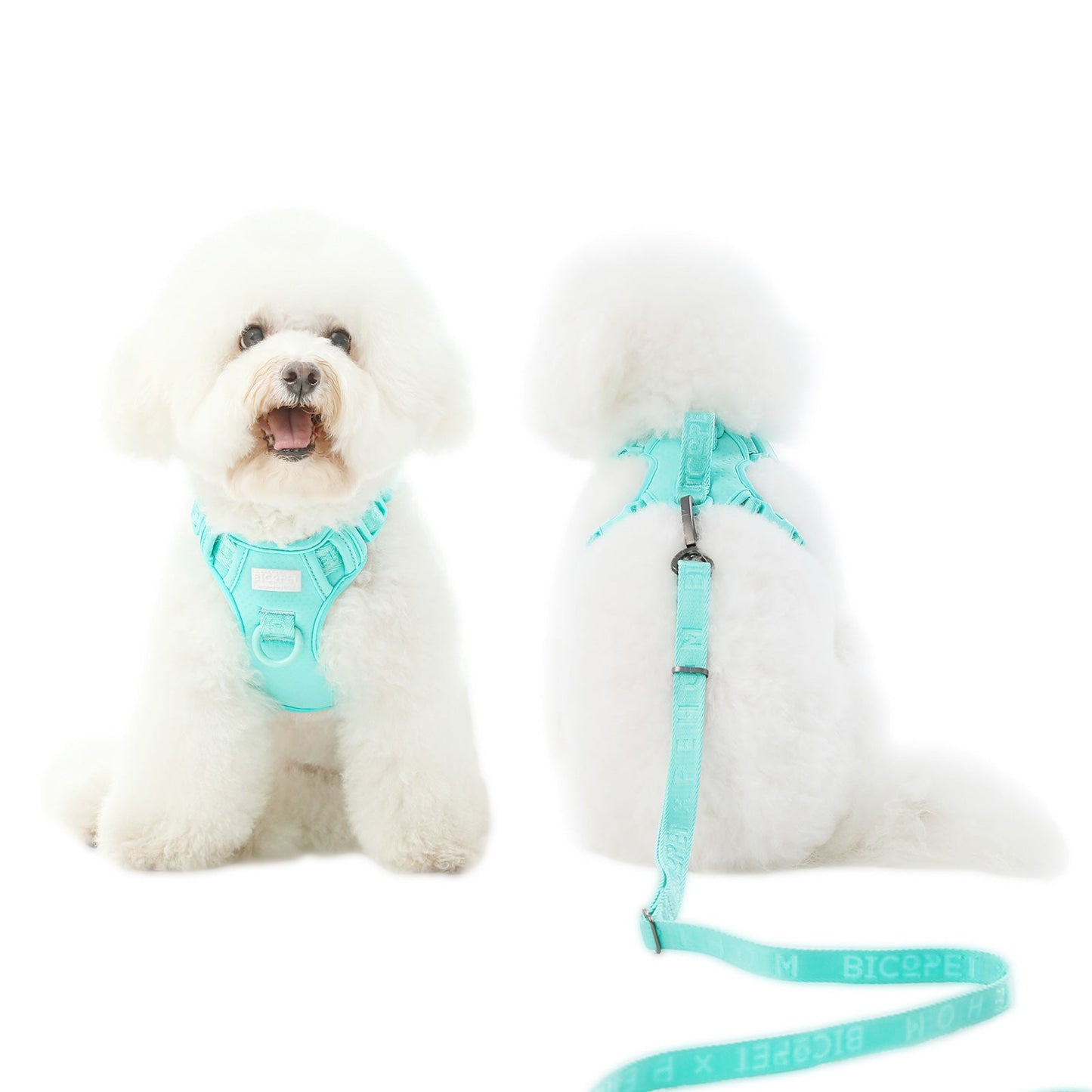 NO PULL ACTIVE  PET HARNESS - MINT GREEN